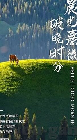捷足球最近比分-捷足球风云，近期比分全解析与赛事展望