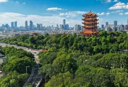美职足球比分结果-美职足球比分结果,绿茵场上的激情与数字交响