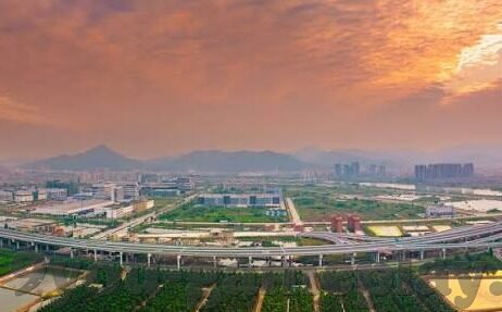 足球比分网怎么-足球比分网全解析，从入门到精通的实用指南